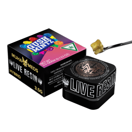 Gush Mints Muha Meds Live Resin | Hybrid - Muha Meds USA